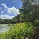 홍지주차장(광제산) 이미지