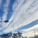 속리산숲체험휴양마을 이미지