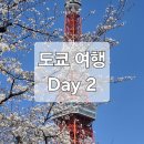 [도쿄 여행] Day2 도쿄 3박4일 여행 일정 공유 | 도쿄타워, 메구로강 벚꽃길, 시부야 스크램블 교차로
