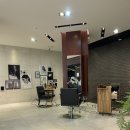 전수영미용실 | 〔오목교/목동 미용실 추천〕 준오헤어 목동41타워점 수영쌤 애쉬브라운 긴 머리 염색 후기