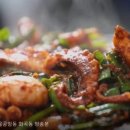 337쭈꾸미 이미지