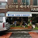 형성팜 | 대전 둔산동 빵집 올리브팜 베이커리 주말 웨이팅 없이 즐긴 시그니처 빵과 갓 구운 바게트 솔직후기