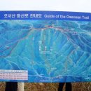 광성토굴새우젓 Daum카페