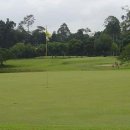 Hole in One(홀인원) 이미지