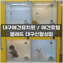 옐레드 애견유치원&애견호텔 대구신월성점 | 대구애견유치원 / 애견호텔 - 옐레드 대구신월성점