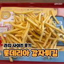 정도면 | 롯데리아 감자튀김 라지 후기, 이 정도면 거의 한 판 아닌가