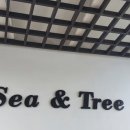 씨앤트리(Sea&Tree) 이미지