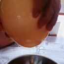 영농조합법인 행복한 타조농장 이미지