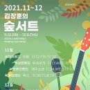 11월30일(화) 숲 콘서트.... 육중완밴드와 함께... 광운대학교 "동해문화예술관" 7시~~ 이미지