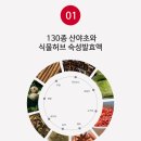 시더스롱제비티 이미지