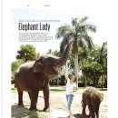 J@야니스타일 이미지