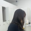 지축보그헤어 이미지