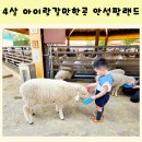 경기도 안성팜랜드 4살 아이와 가볼만한 곳 대형농장체험