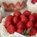 라벨크렘 이미지