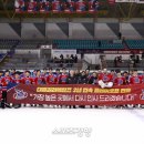 킬러웨일즈