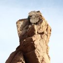 선녀바위-선착장 이미지