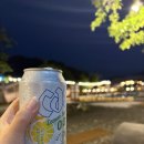 대전 근교 공주 글램핑 추천 파크오브드림 파크동 이용 솔직후기