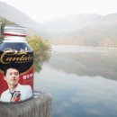 연봉크리닝 이미지