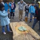 가평곤충농장 이미지