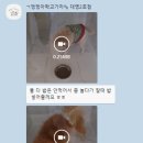 멍멍아학교가자 (대명점) 이미지