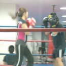 다인복싱클럽 이미지