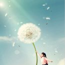 동화연구지도사 이미지