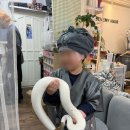 세브니헤어