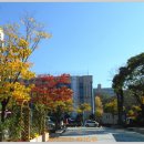 검단탑병원 이미지