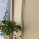 316카페이룸 이미지