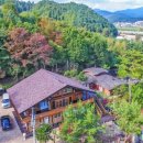 별빛사냥 이미지