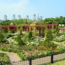 한밭수목원1 이미지