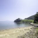 일월애관광농원 이미지