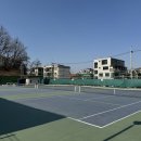 대원테니스장 이미지