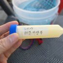 (주)바른환경 - 여수시 | 자동차 고체왁스 셀프세차후 왁스는 필수용품 자동차 광택제 바른 후기