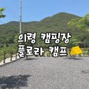 플로라 캠프 이미지