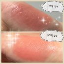 스륵 | 토니모리 겟잇틴트 워터풀 버터 스륵마롱크림 내돈내산 후기