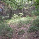 상지목장 이미지