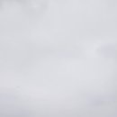 생활권11 이미지