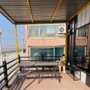 선재유일390 이미지