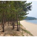 서포리웰빙산책로 (덕적도) Daum카페