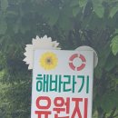 해바라기유원지