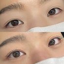 베르뷰티