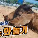 염돌이농장 이미지