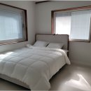 트랜드위드 이미지