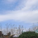 꽃밭머리 스테이 이미지