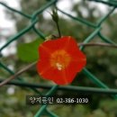 구산공인중개사사무소 이미지