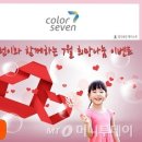 칼라세븐 머니투데이