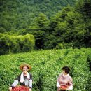 홍문표농장 이미지