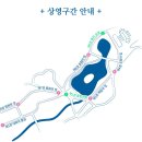 창경궁 야간개장 물빛연화 관람 후기 및 팁