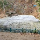 덩쿨여관 이미지